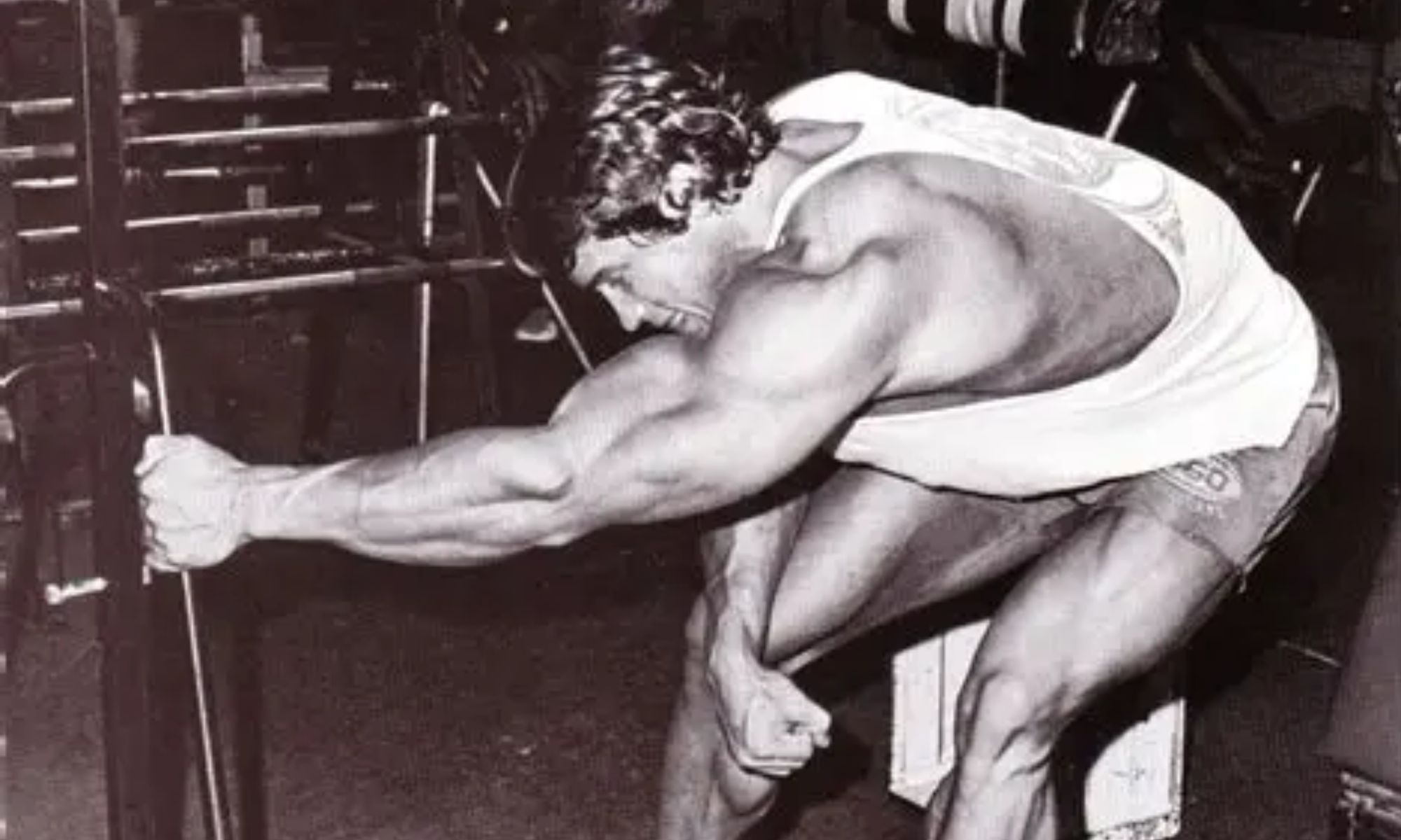 Arnold